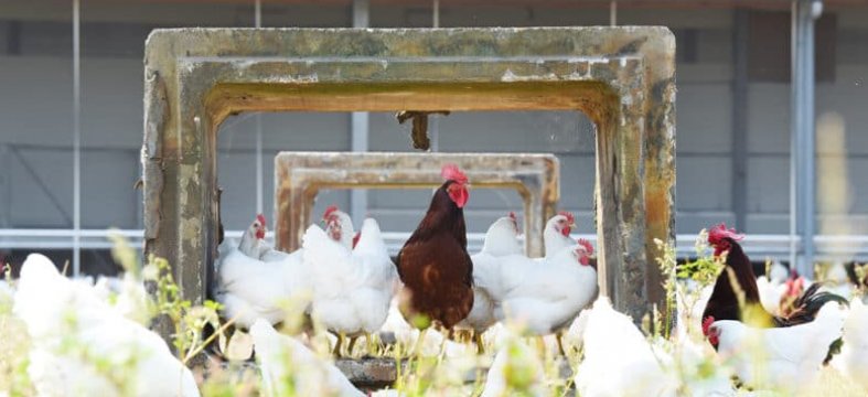 Bedrijfsbezoek Ter Heerdt-Verbeek N.V.
